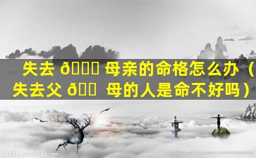 失去 🐛 母亲的命格怎么办（失去父 🐠 母的人是命不好吗）